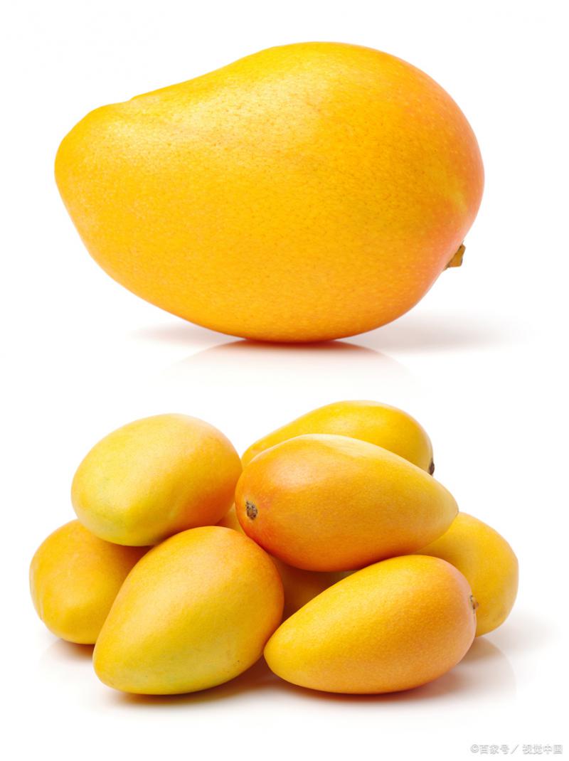 江西芒果冷庫：鎖住熱帶鮮美的“時光膠囊”