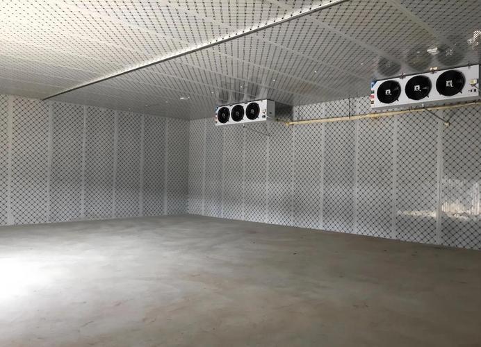 一間冷庫，藏著生活的溫度與生機