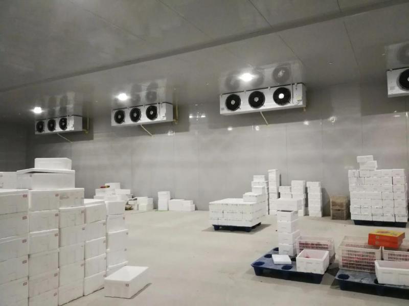 100立方冷庫造價成本計算方法？