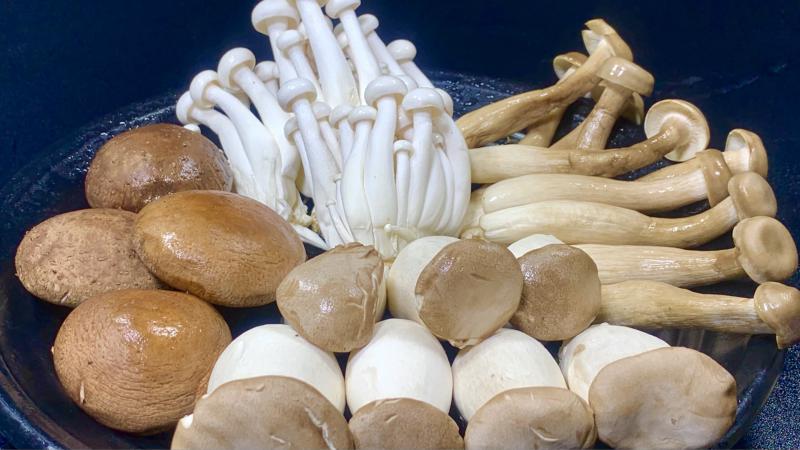 江西菌菇冷庫保鮮方式及建造溫度